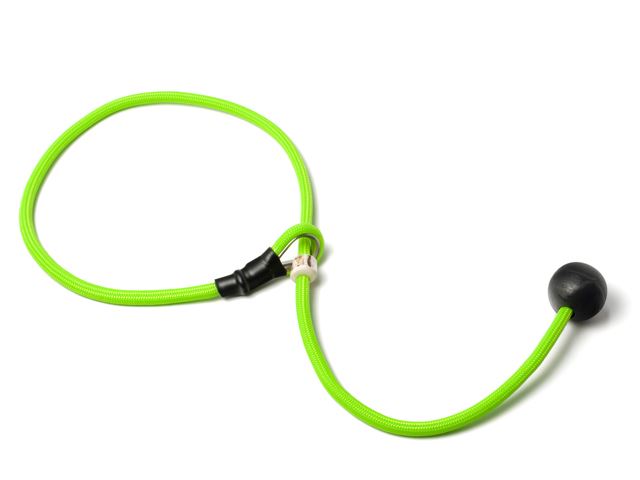 Short_leash_6mm_neon_green_small_web