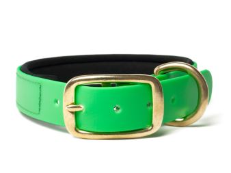 Biothane_collar_deluxe_brass_neopren_neon_green_small_web