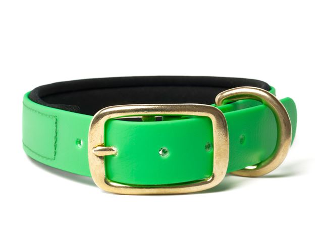 Biothane_collar_deluxe_brass_neopren_neon_green_small_web