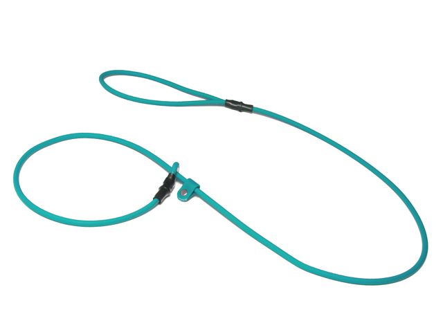 Biothane_FT_moxon_leash_light_green_small_web