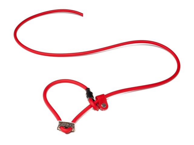 Biothane_FT_moxon_leash_with_hornstop_red_small_web