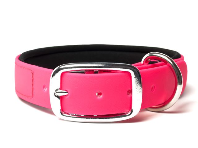 Biothane_collar_deluxe_neopren_neon_pink_small_web
