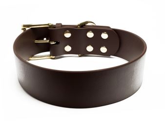 Biothane_collar_classic_50mm_brass_backside_brown_small_web (5)