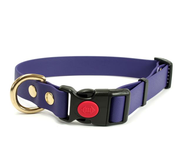 Biothane_collar_safety_click_solid_brass_lila_small_web