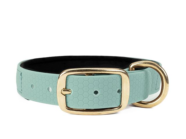 Hexa_collar_brass_deluxe_baby_blue_neoprene_small_web