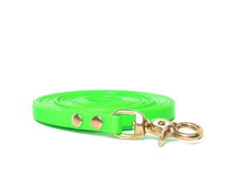 Biothane_tracking_leash_riveted_13mm_brass_trigger_hook_light_green_small_web