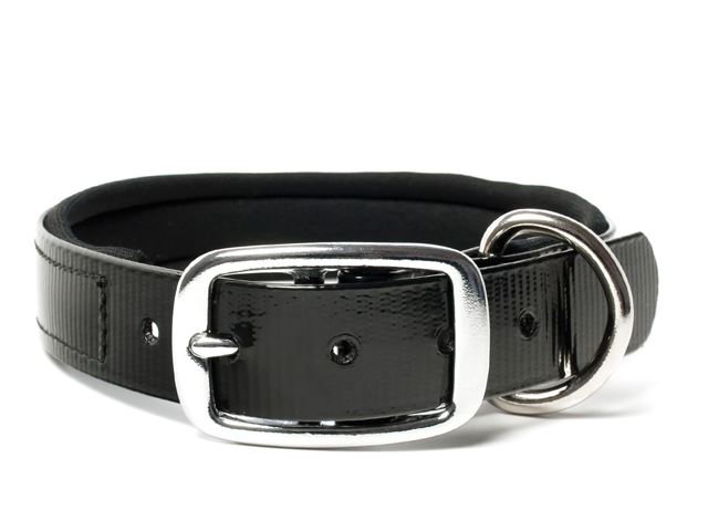 Biothane_collar_deluxe_neopren_gold_black_small_web