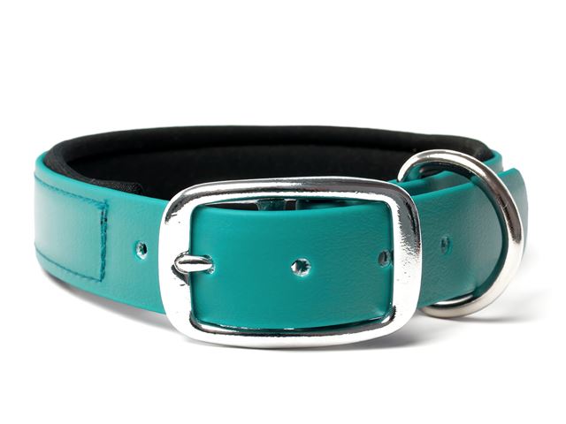 Biothane_collar_deluxe_neopren_light_green_small_web