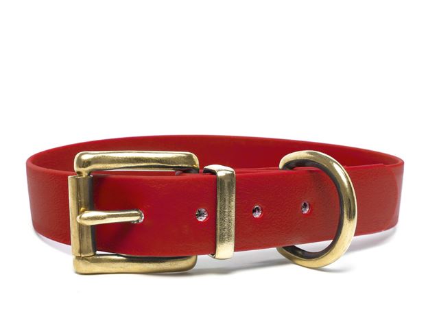 Biothane_collar_classic_brass_small_web