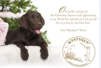 Christmas wishes