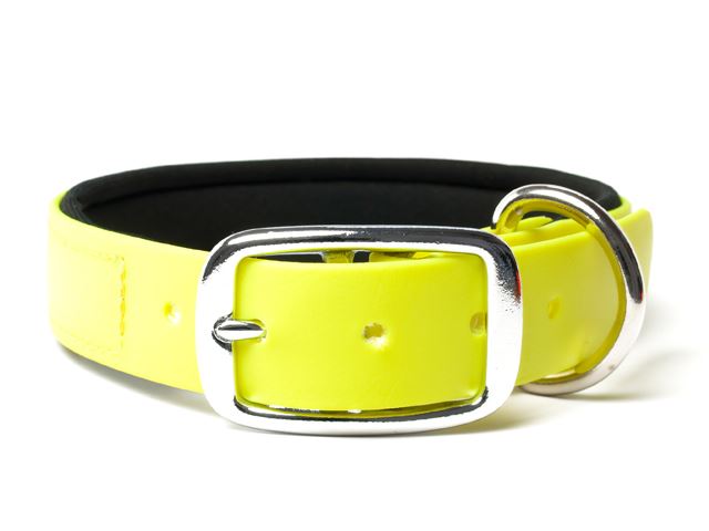 Biothane_collar_deluxe_neopren_neon_yellow_small_web