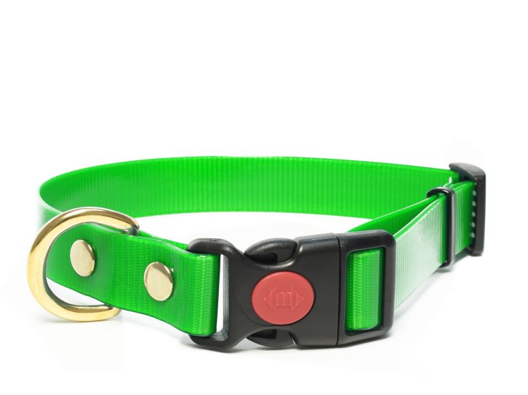 Biothane_collar_safety_click_solid_brass_green_big_web