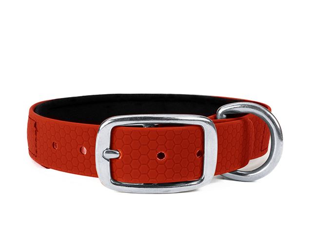 Hexa_collar_rustproof_deluxe_red_neoprene_small_web