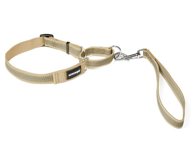 Rubbered_agility_leash_beige_small_web