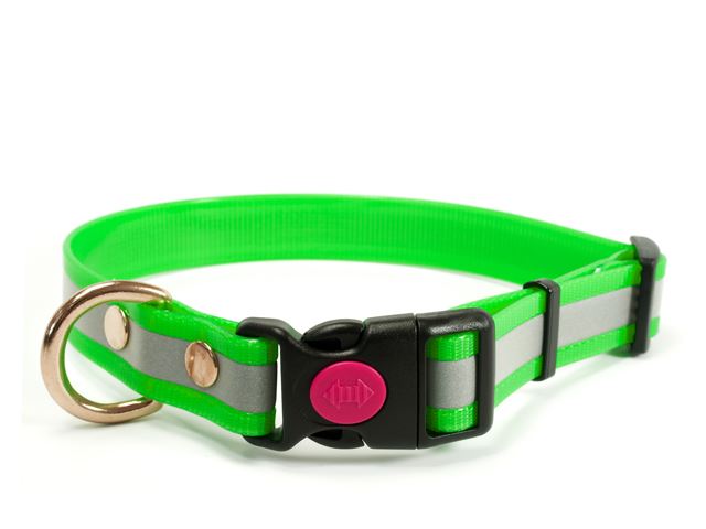 Biothane_collar_safety_click_solid_brass_reflex_green_small_web