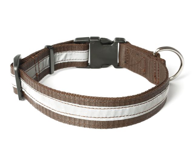 Nylon_collar_profi_reflective_brown_02_small_web