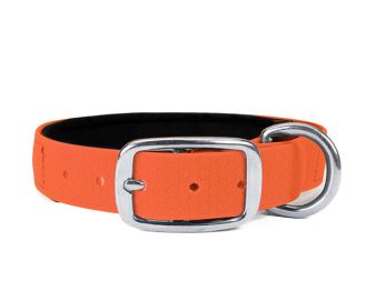 Hexa_collar_rustproof_deluxe_neon_orange_neoprene_small_web (14)