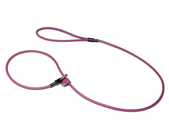 Biothane_FT_moxon_leash_winered_small_web
