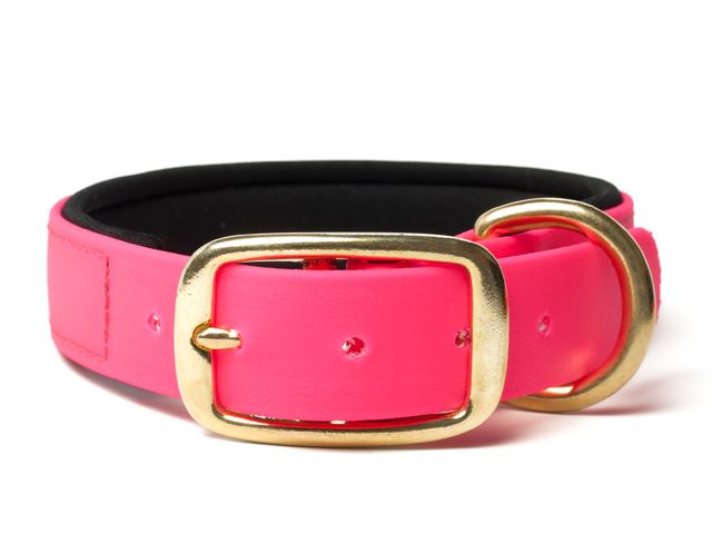 Biothane_collar_deluxe_brass_neopren_neon_pink_small_web