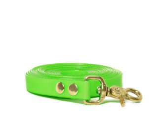 Biothane_tracking_leash_riveted_16-19mm_brass_trigger_hook_light_green_small_web