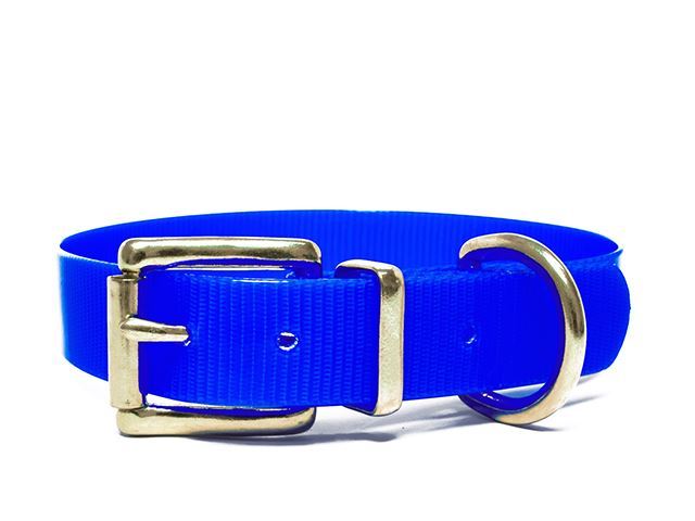 Biothane_collar_classic_brass_blue_gold_small_web
