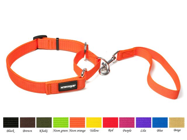 Nylon_agility_leash_master_small_web
