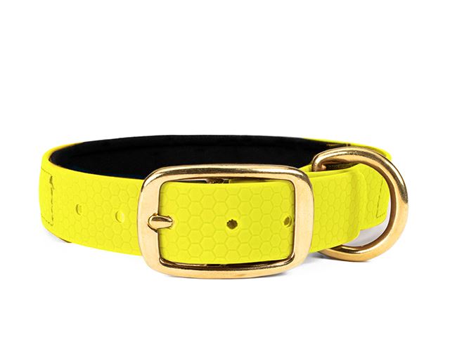Hexa_collar_brass_deluxe_neon_yellow_neoprene_small_web