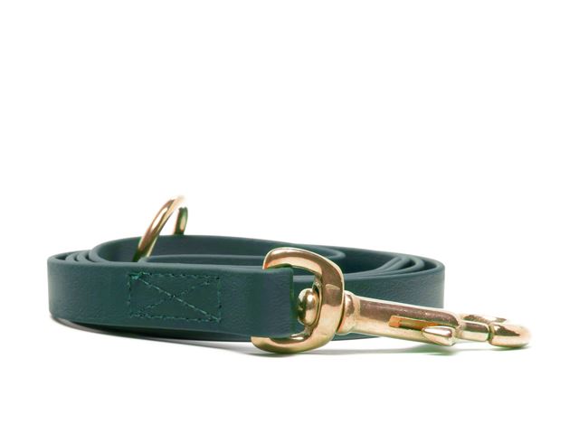 Biothane_leash_16_19mm_sewn_green_brass_snap_hook_small_web