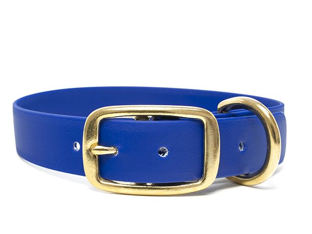 Biothane_collar_deluxe_brass_blue_small_web