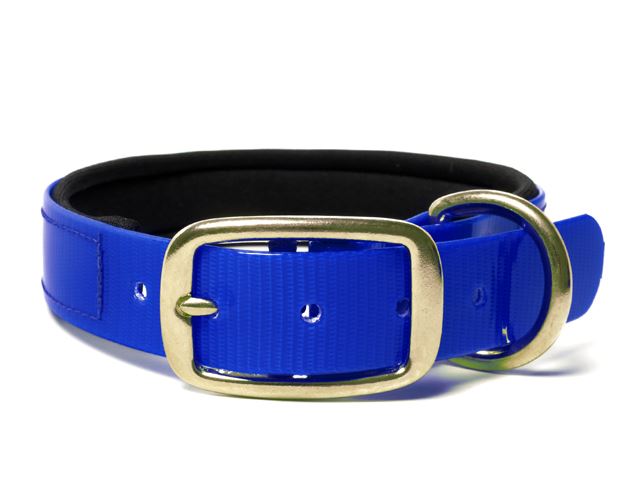 Biothane_collar_deluxe_brass_neopren_gold_blue_small_web