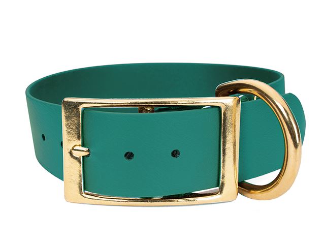 Biothane_deluxe_collar_38mm_light_green_brass_small_web