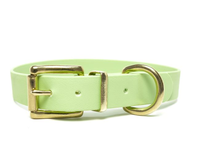 Biothane_collar_classic_brass_pastel_green_small_web