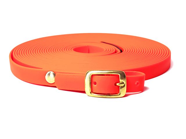 Mystique® Biothane blood tracking leash