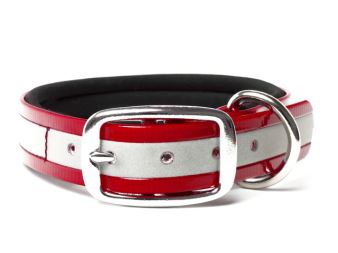 Biothane_collar_deluxe_neopren_gold_reflective_red_small_web