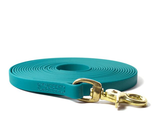 Biothane_tracking_leash_brass_trigger_13mm_sewn_light_green_small_web