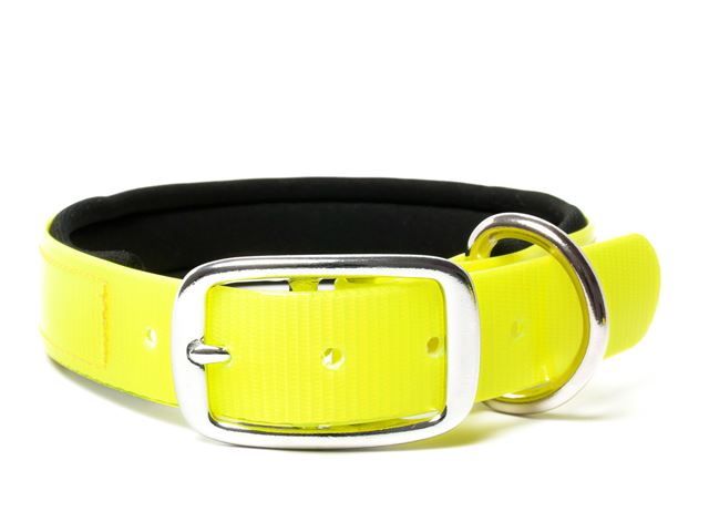 Biothane_collar_deluxe_neopren_gold_yellow_small_web