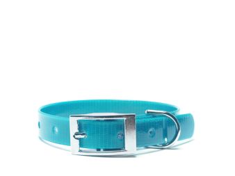 Biothane_collar_16mm_deluxe_gold_turquoise_small_web (21)