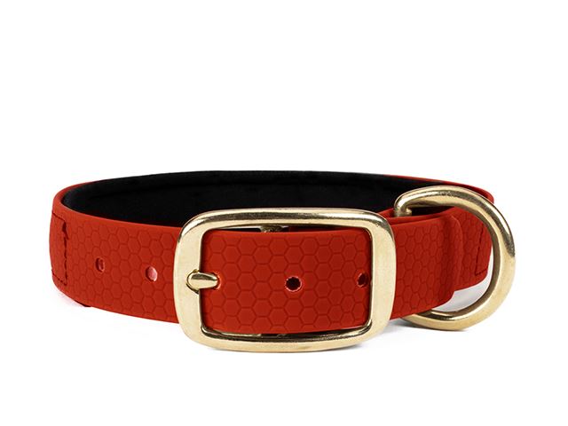 Hexa_collar_brass_deluxe_red_neoprene_small_web