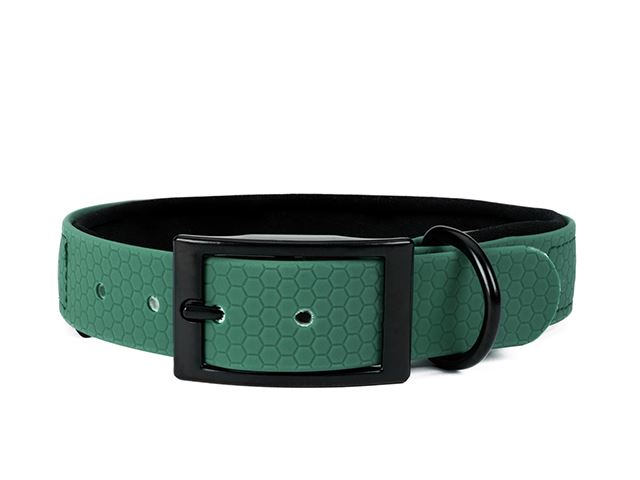 Hexa_collar_black_deluxe_green_neoprene_small_web