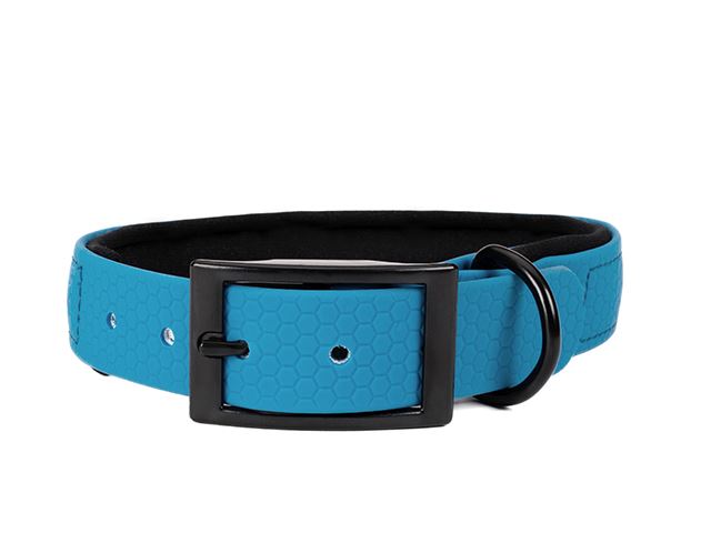 Hexa_collar_black_deluxe_light blue_neoprene_small_web
