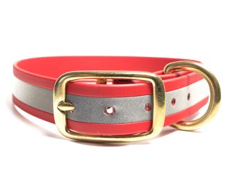 Biothane_collar_deluxe_brass_reflect_red_beta_small_web