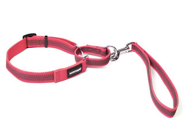 Rubbered_agility_leash_neon_pink_small_web