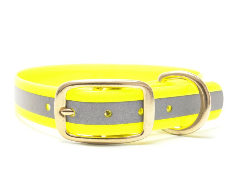 Biothane_collar_deluxe_brass_reflect_yellow_gold_big_web