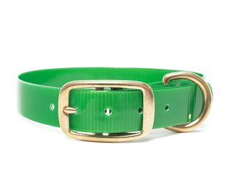 Biothane_collar_deluxe_brass_green_gold_small_web