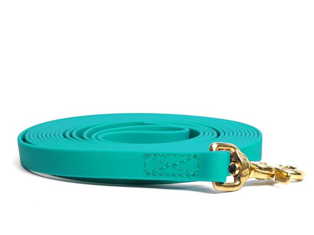 Biothane_tracking_leash_sewn_light_green_brass_trigger_small_web