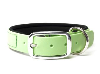 Biothane_collar_deluxe_neopren_pastel_green_small_web (62)
