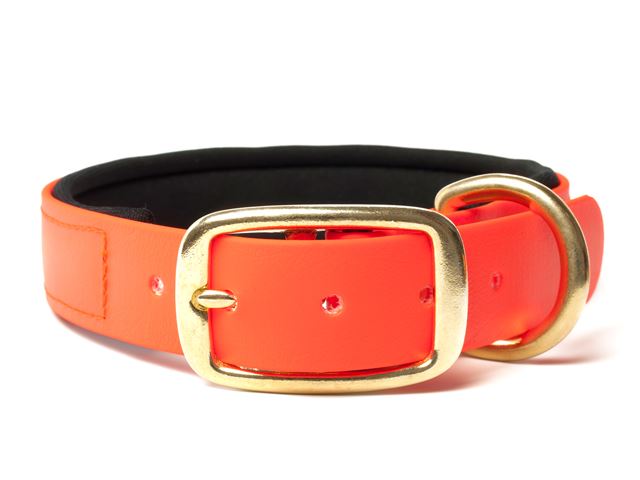 Biothane_collar_deluxe_brass_neopren_neon_orange_small_web