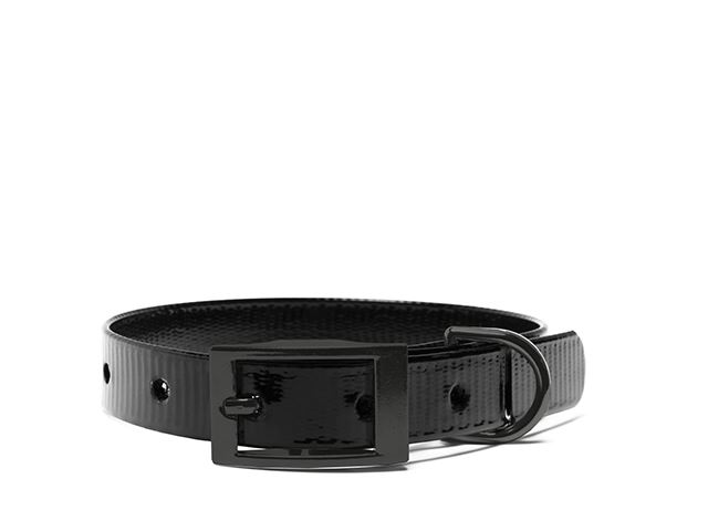 Biothane_collar_black_deluxe_gold_black_small_web