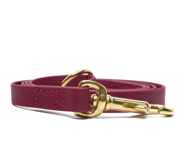 Biothane_leash_16_19mm_sewn_winered_brass_snap_hook_small_web