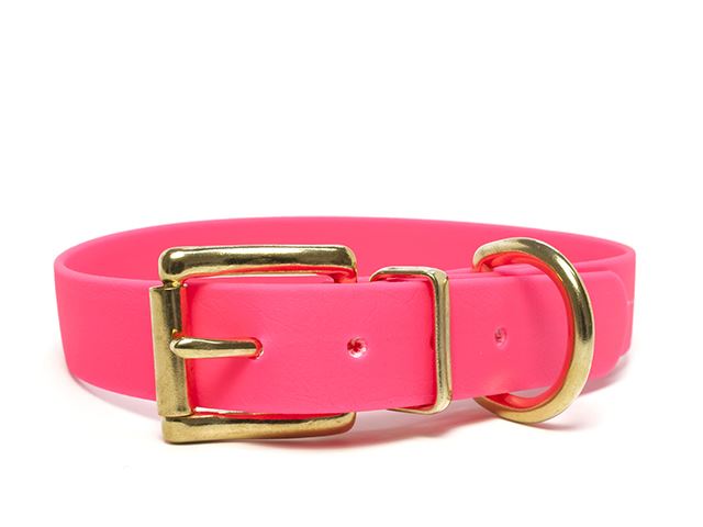 Biothane_collar_classic_brass_neon_pink_small_web